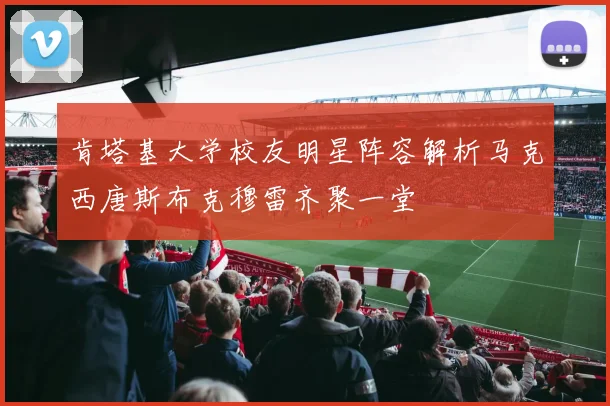 肯塔基大学校友明星阵容解析马克西唐斯布克穆雷齐聚一堂